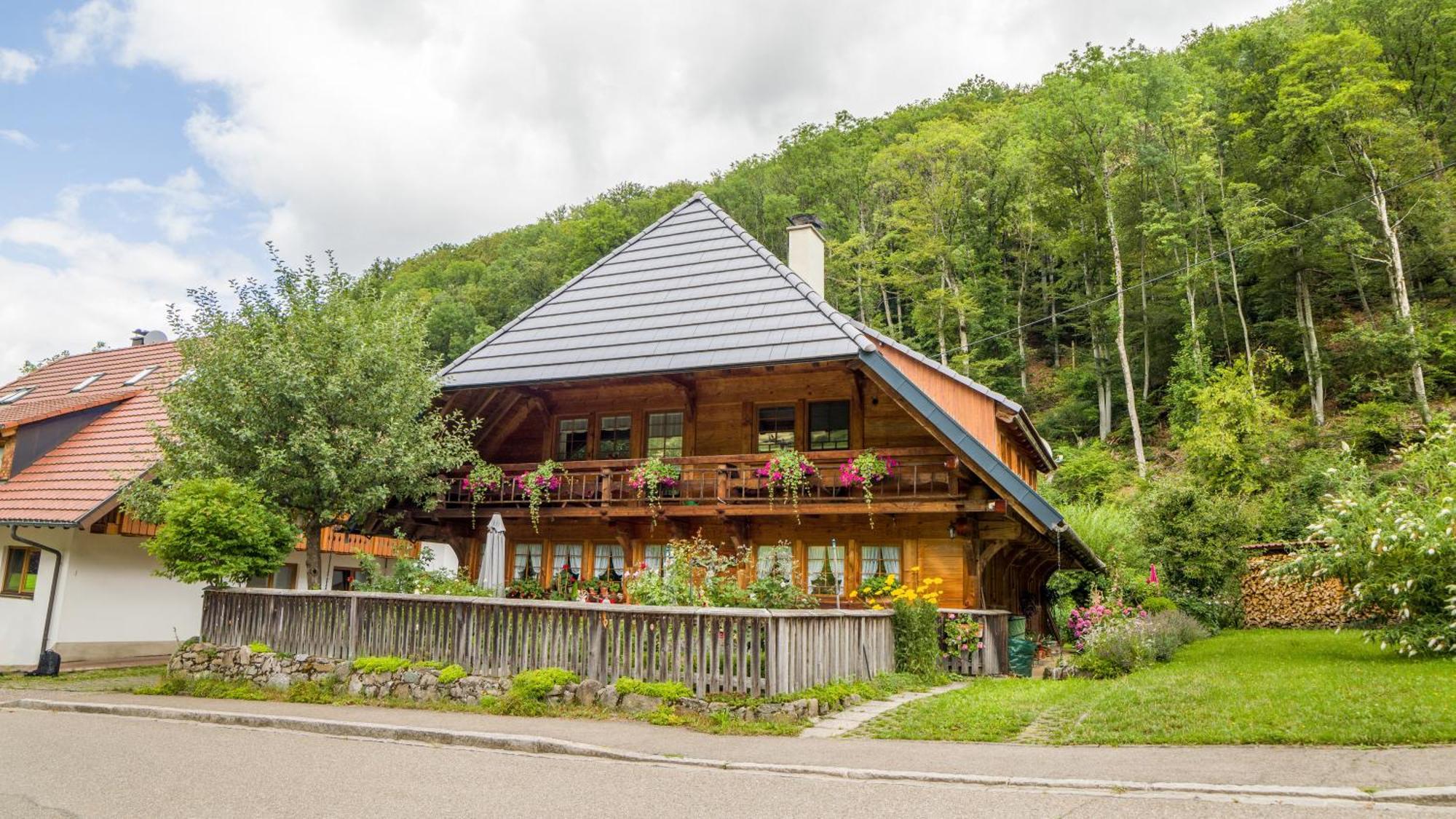 Haus Miriam Apartment Münstertal Екстериор снимка