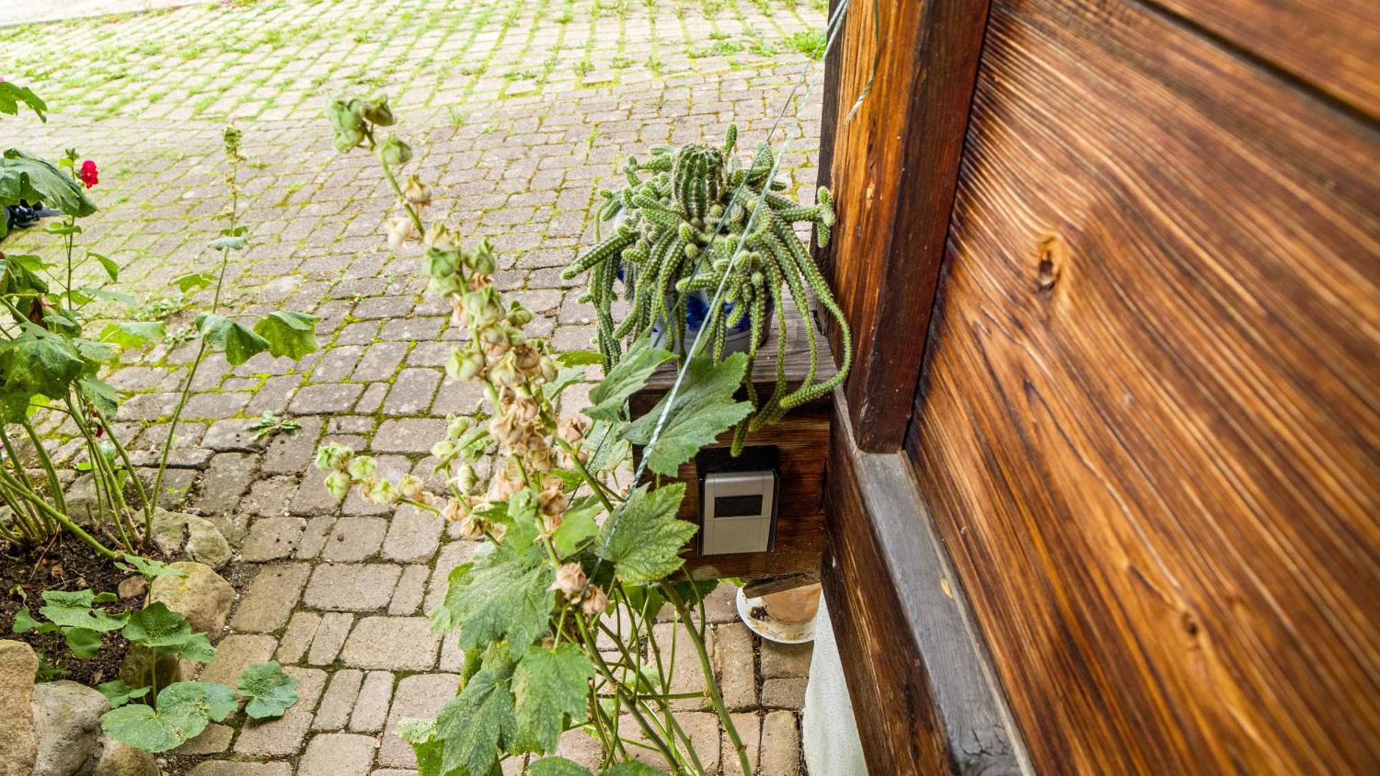 Haus Miriam Apartment Münstertal Екстериор снимка