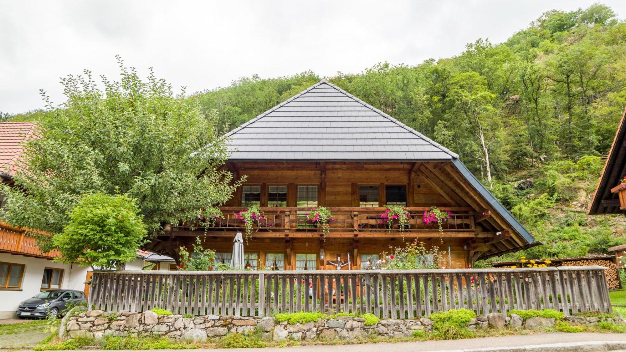 Haus Miriam Apartment Münstertal Екстериор снимка